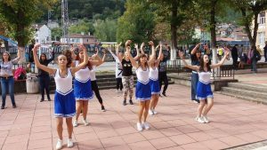 Училища подгласници