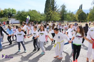 essd2018